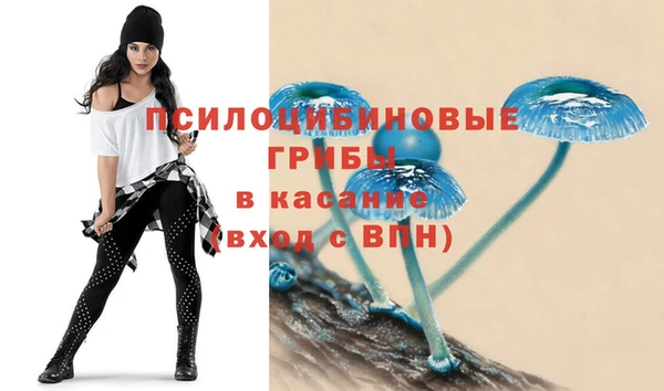 гидропоника Алексеевка