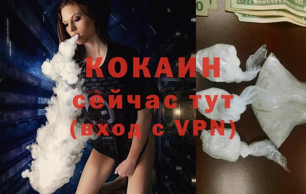 соль ск Алексин