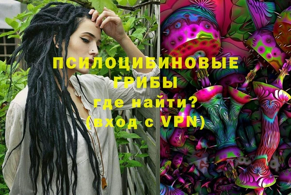 соль ск Алексин