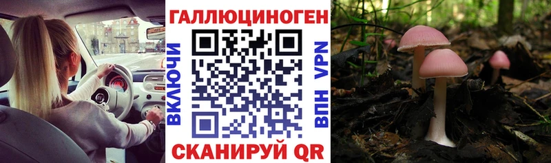 наркотики  Лянтор  Псилоцибиновые грибы ЛСД 